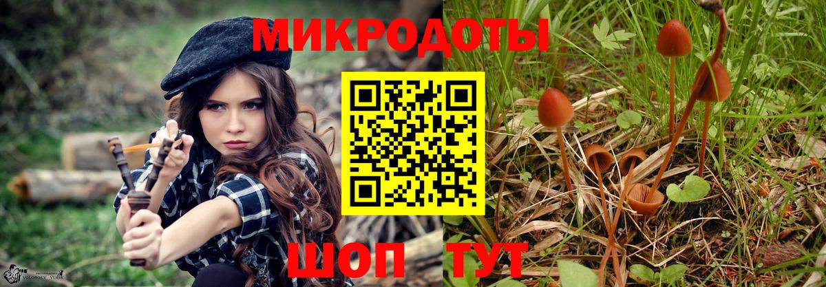 Псилоцибиновые грибы мицелий Луховицы