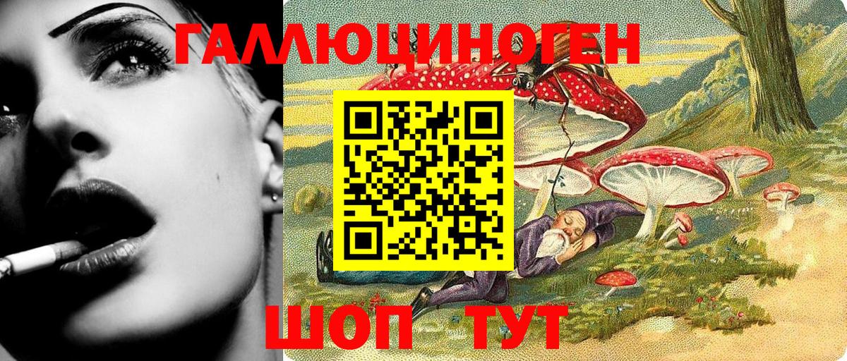 Луховицы  Псилоцибиновые грибы Cubensis  Вход с VPN 